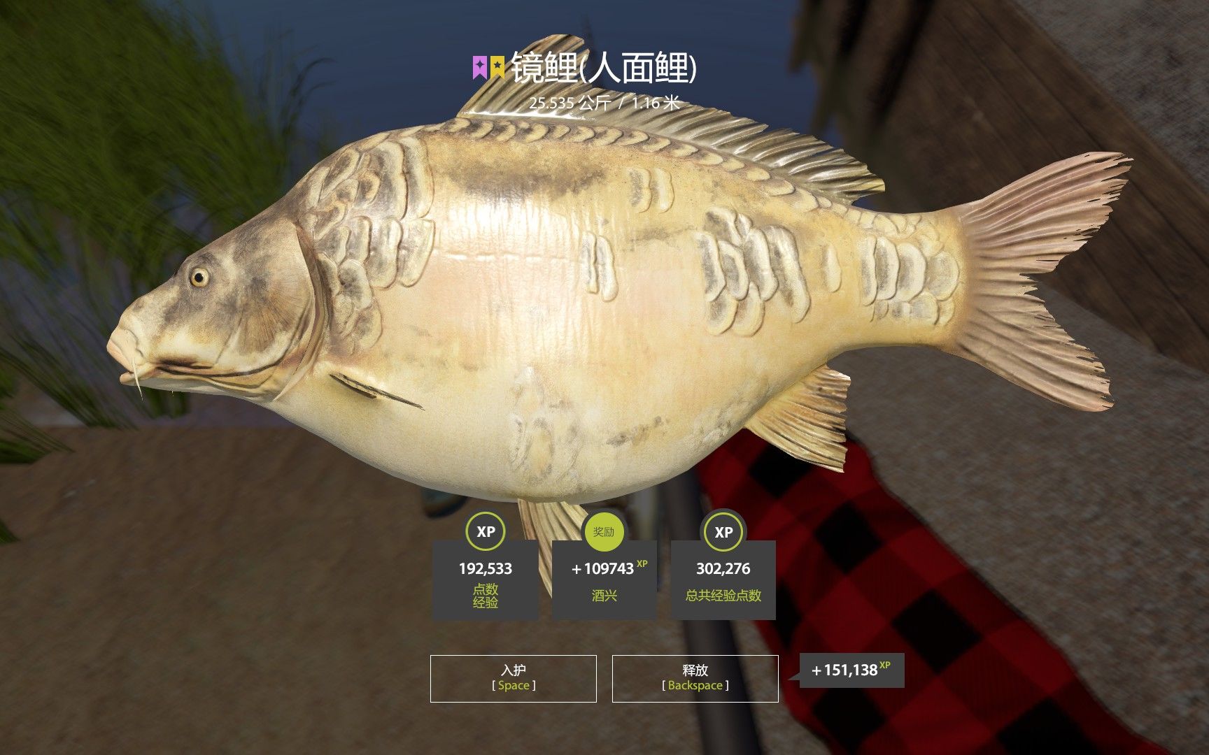 [俄罗斯钓鱼4]星镜鲤人面鲤(2)