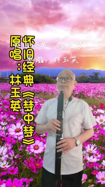 怀旧经典《梦中梦》原唱:林玉英哔哩哔哩bilibili