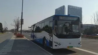 [浦东南汇]临港六院定班车(临港定制7线)W2L-018进入环湖西三路海港大道站