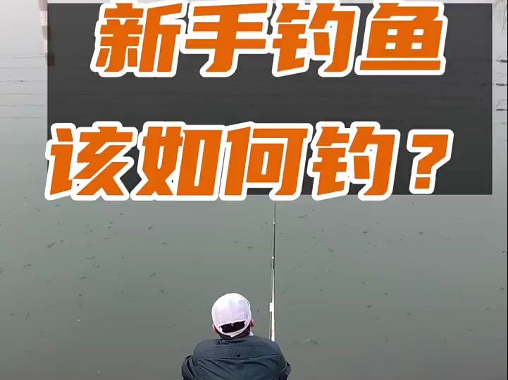 新手钓鱼,该如何钓?