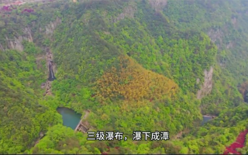 [图]雪窦山红枫，5A景区边，漫山红遍