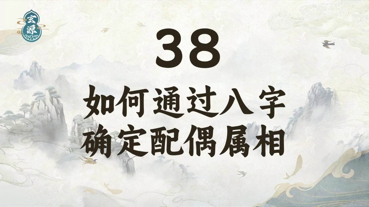 38如何通过八字确定配偶属相哔哩哔哩bilibili