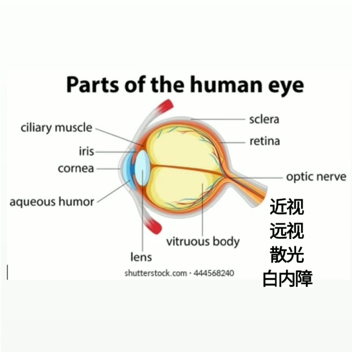 【自制】眼睛近视远视散光白内障 10的3次方哔哩哔哩bilibili