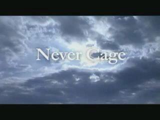 LAREINE】Never Cage PV_哔哩哔哩_bilibili