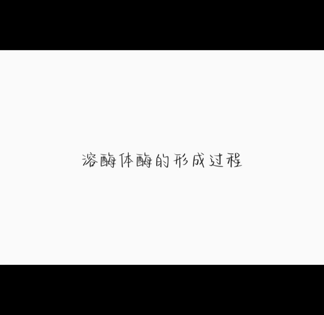 溶酶体酶的形成过程哔哩哔哩bilibili