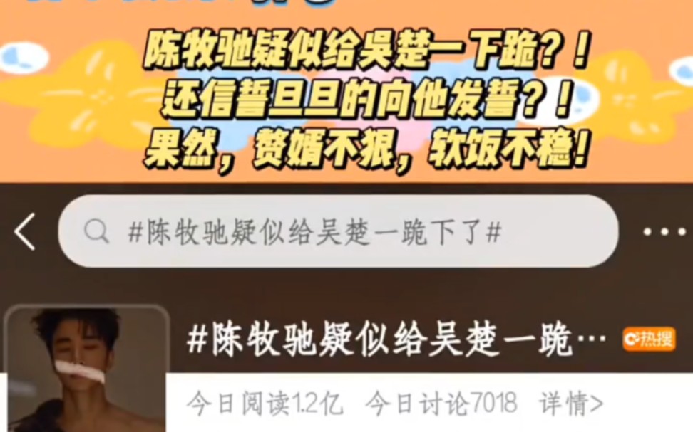 陈牧驰疑似给吴楚一下跪?!还信誓旦旦的发誓?!果然,赘婿不狠,软饭不稳……哔哩哔哩bilibili