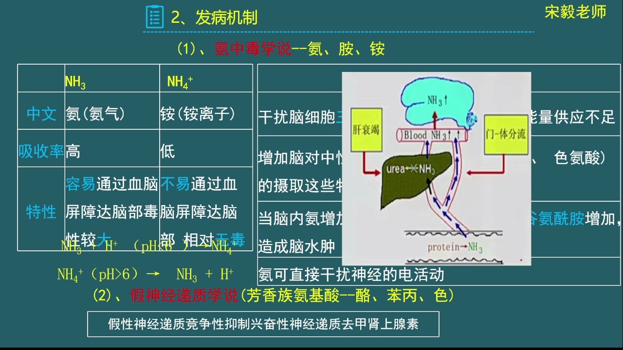 肝性脑病诱因图片