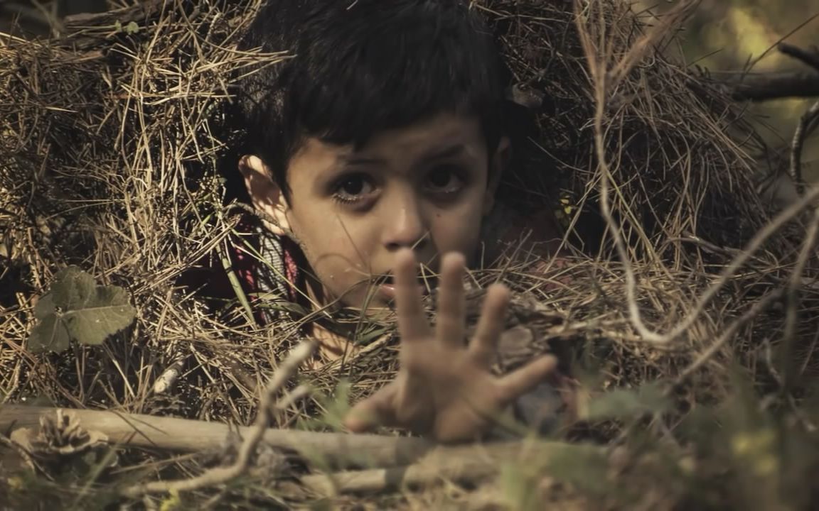 【top10】10种你可能会有的恐惧症~密恐慎入!@油兔不二字幕组