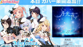 Morfonica 月光花 哔哩哔哩 つロ干杯 Bilibili