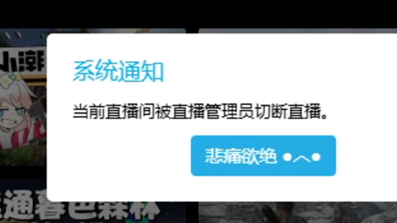 小橙子姐姐刚开播惨遭超管强制下播?发生了什么?网络游戏热门视频