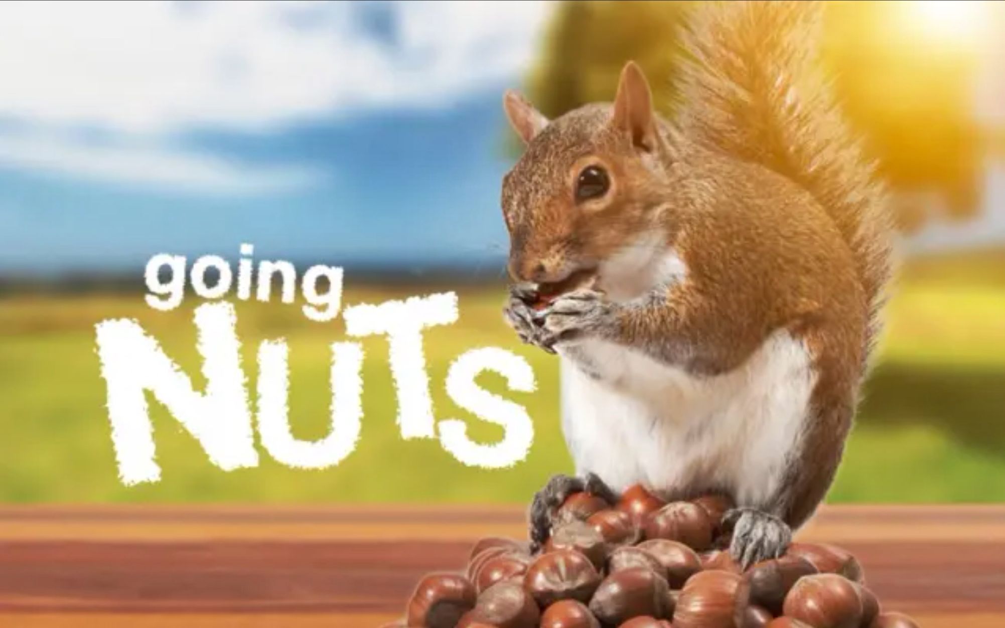 [图]痴迷坚果：松鼠世界传奇 Going Nuts Tales From Squirrel World