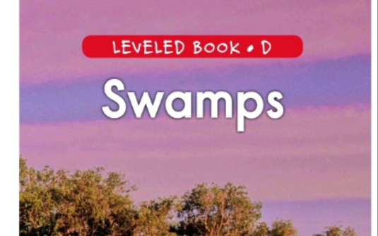 Swamps哔哩哔哩bilibili