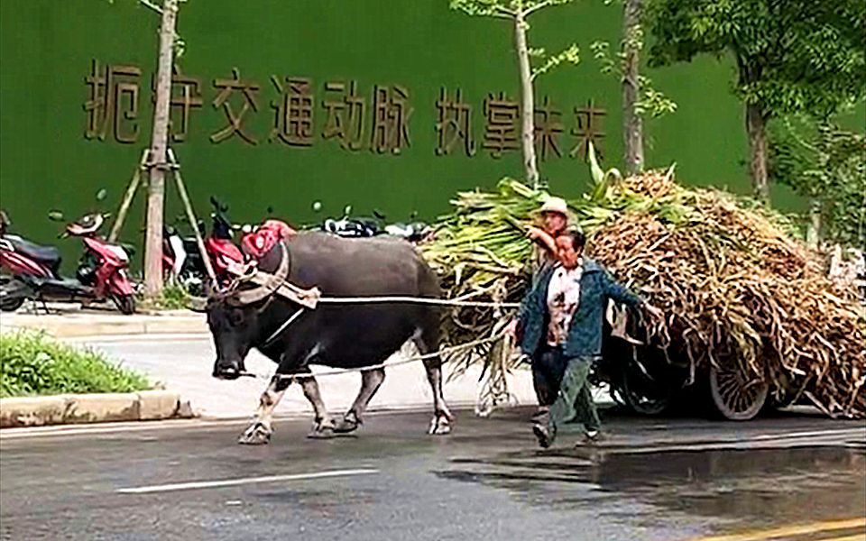 互联网上看了太多高品质生活,所以人们渐渐忘了普通人的模样哔哩哔哩bilibili