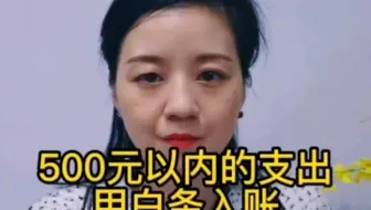 500元以内的支出用白条入账