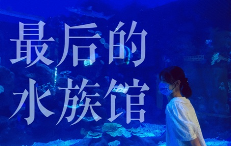 [图]【水族馆游客失踪事件】 全站首个！整专安利裘德《最后的水族馆》