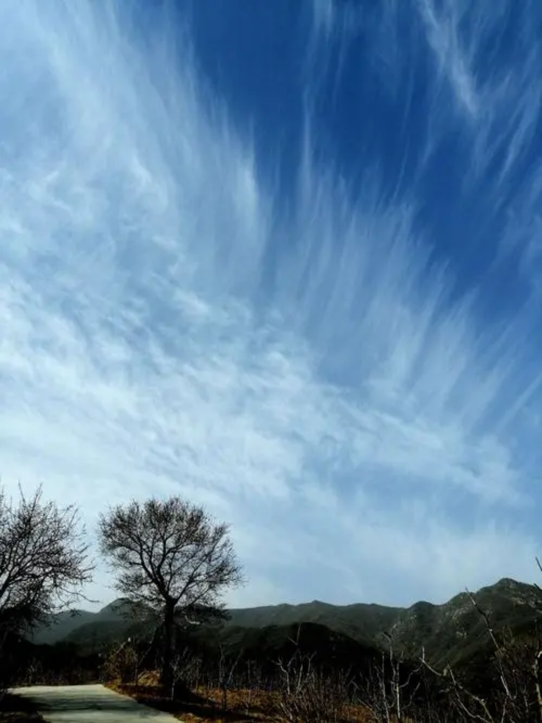抬头记录此刻的天空 ,第六期