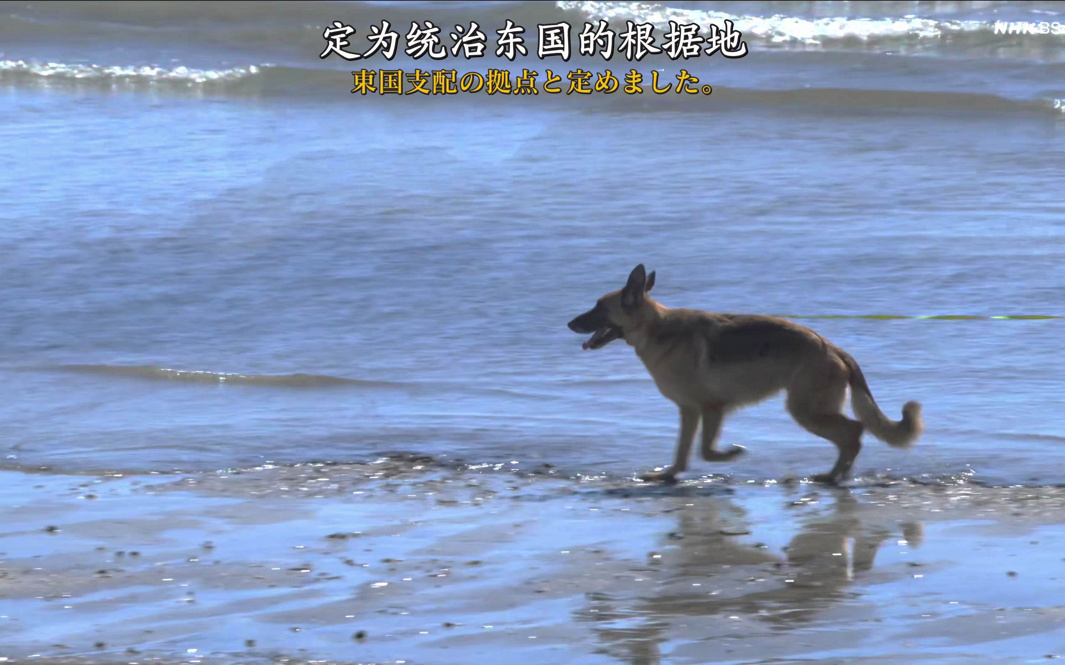 [图]大河字幕组【4K】【NHK大河剧/镰仓殿的13人】大河纪行 1-20回