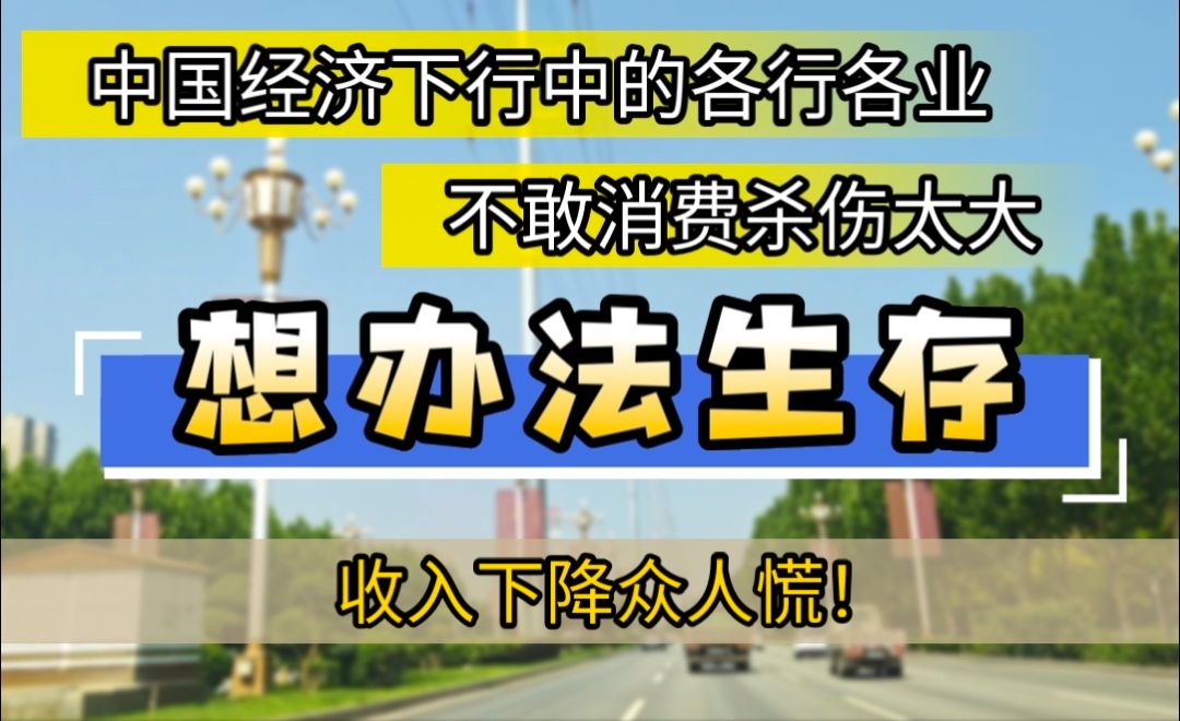 中国经济下行中的各行各业,不敢消费杀伤大,想办法生存,收入下降众人慌!哔哩哔哩bilibili