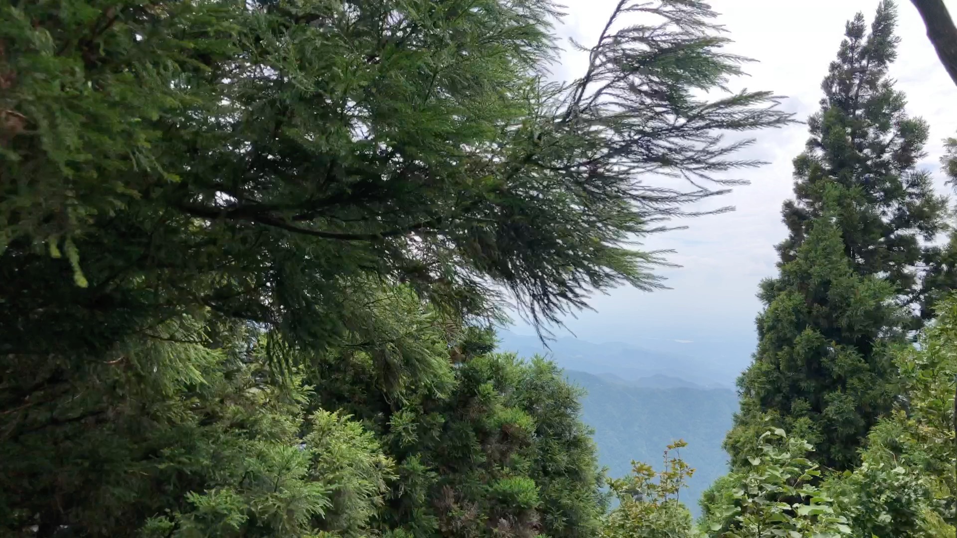 山顶的风_哔哩哔哩_bilibili