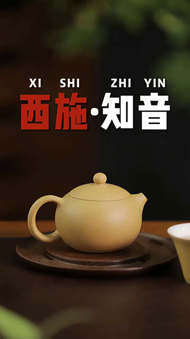 藏壶天下宜兴紫砂壶