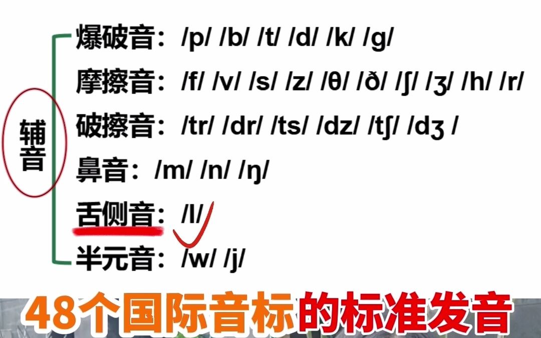 48个国际音标的标准发音哔哩哔哩bilibili