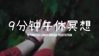 鸟叫声 水声 音乐放松 睡眠 治愈 舒压 疔愈 专注 冥想 学习 早晨 轻音乐 哔哩哔哩 Bilibili