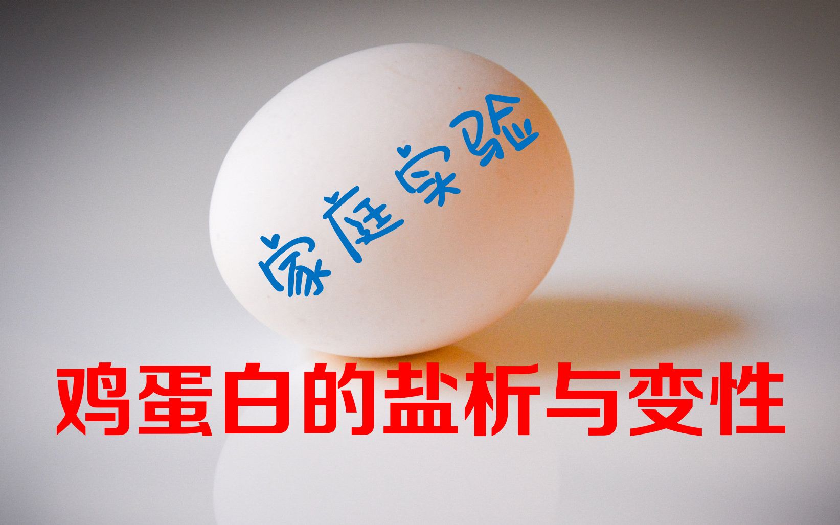 活动  【家庭实验】学生作品:蛋白质的盐析与变性