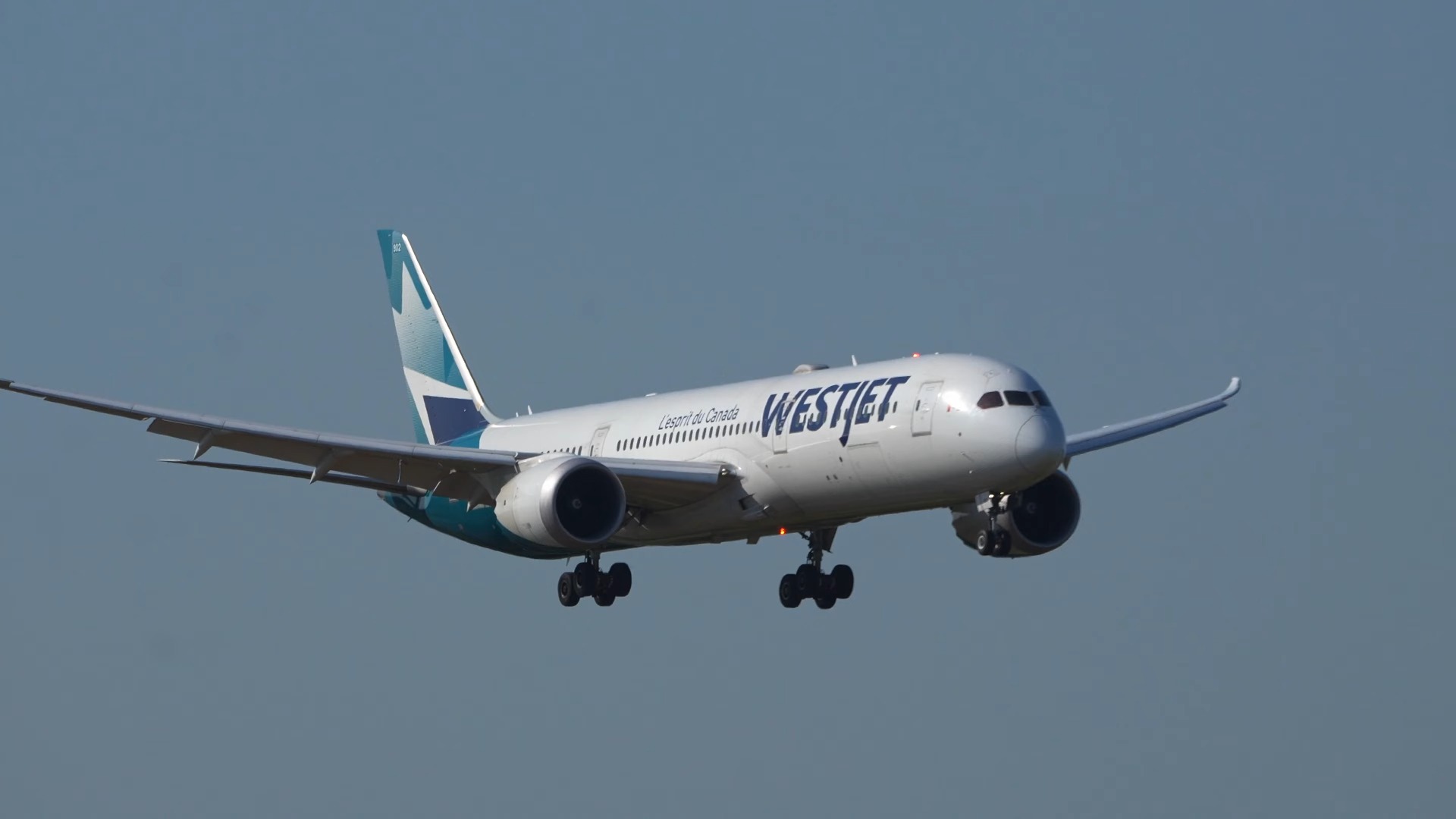 WestJet 7879 CGURP|成田空港|4K哔哩哔哩bilibili