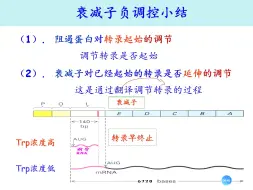 Tải video: 【生物化学】《细胞代谢和基因表达调节》Exhaustive版！（8）