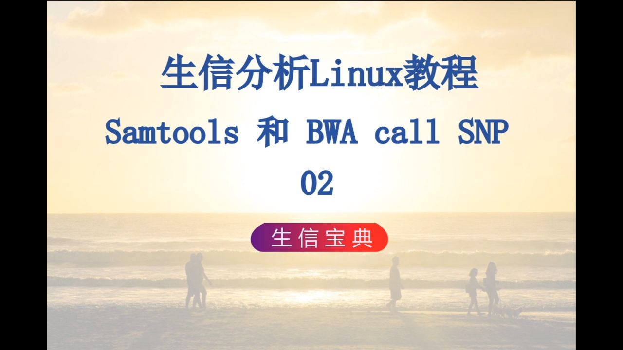 P31 Samtools和 BWA call SNP 02哔哩哔哩bilibili