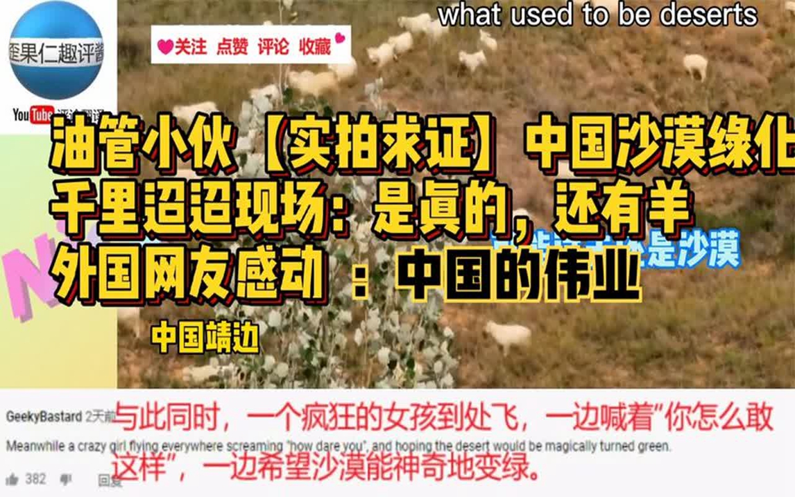 油管小伙实拍求证中国银川沙漠变绿洲外国网友感动热评:中国伟业哔哩哔哩bilibili