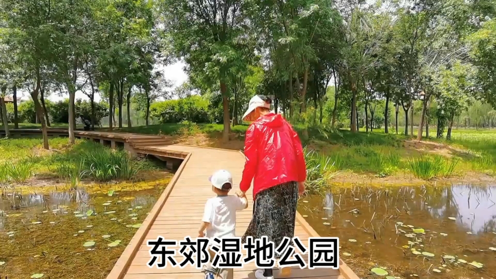 东郊湿地公园-遛娃随拍
