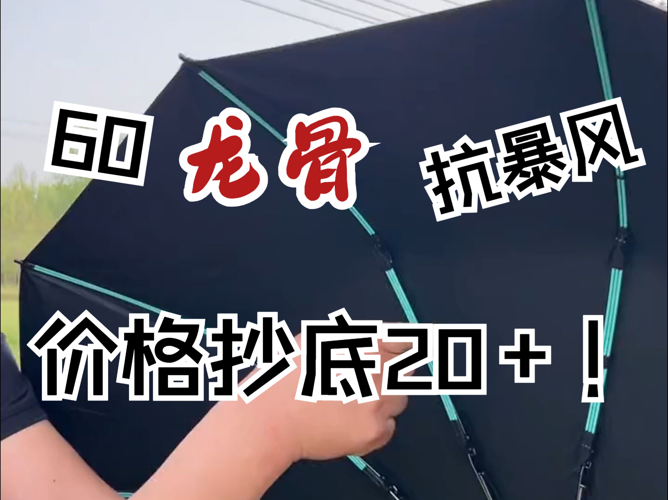 【龙骨雨伞】手抗暴风,脚踢摩羯,价格抄底20+的60骨雨伞来啦!哔哩哔哩bilibili