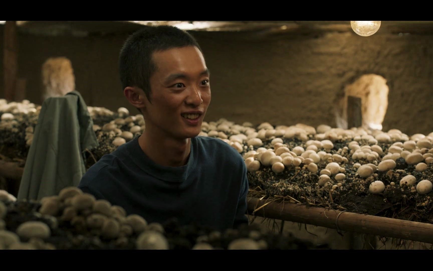 《山海情》12:记者采访得宝,给蘑菇种植户拍照!