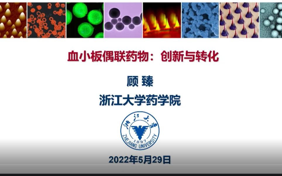 浙江大学顾臻教授糖尿病微针及血小板递送系统哔哩哔哩bilibili