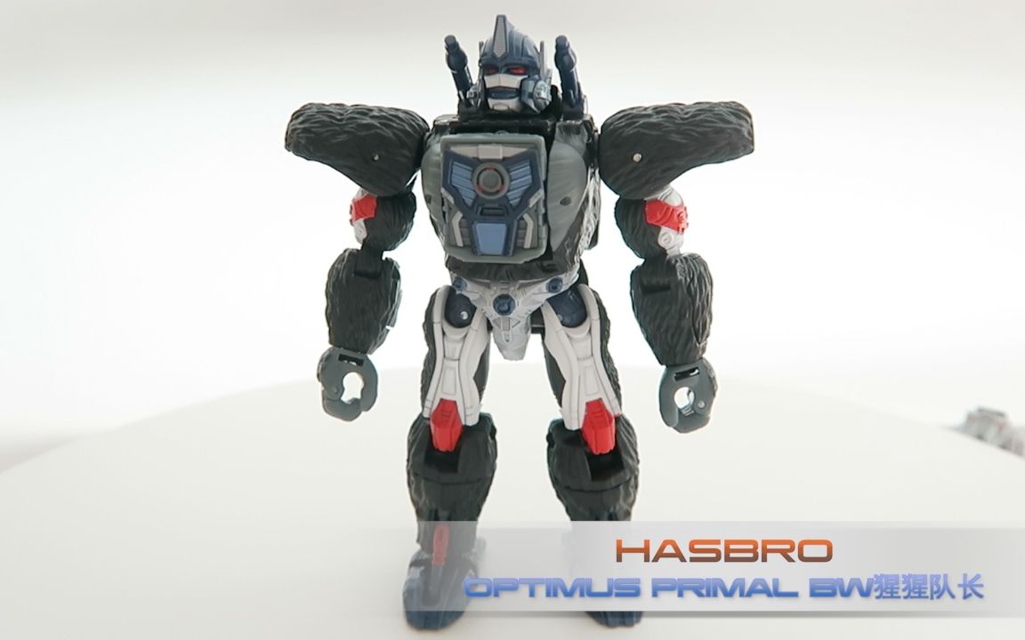 [图]猩猩队长 王国系列 超能勇士 BW Optimus Primal Kingdom Beast Wars (纯变形展示)