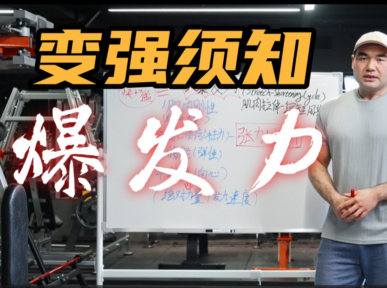 突破瓶颈 让你一秒变强丨爆发力大揭秘【收藏向】哔哩哔哩bilibili