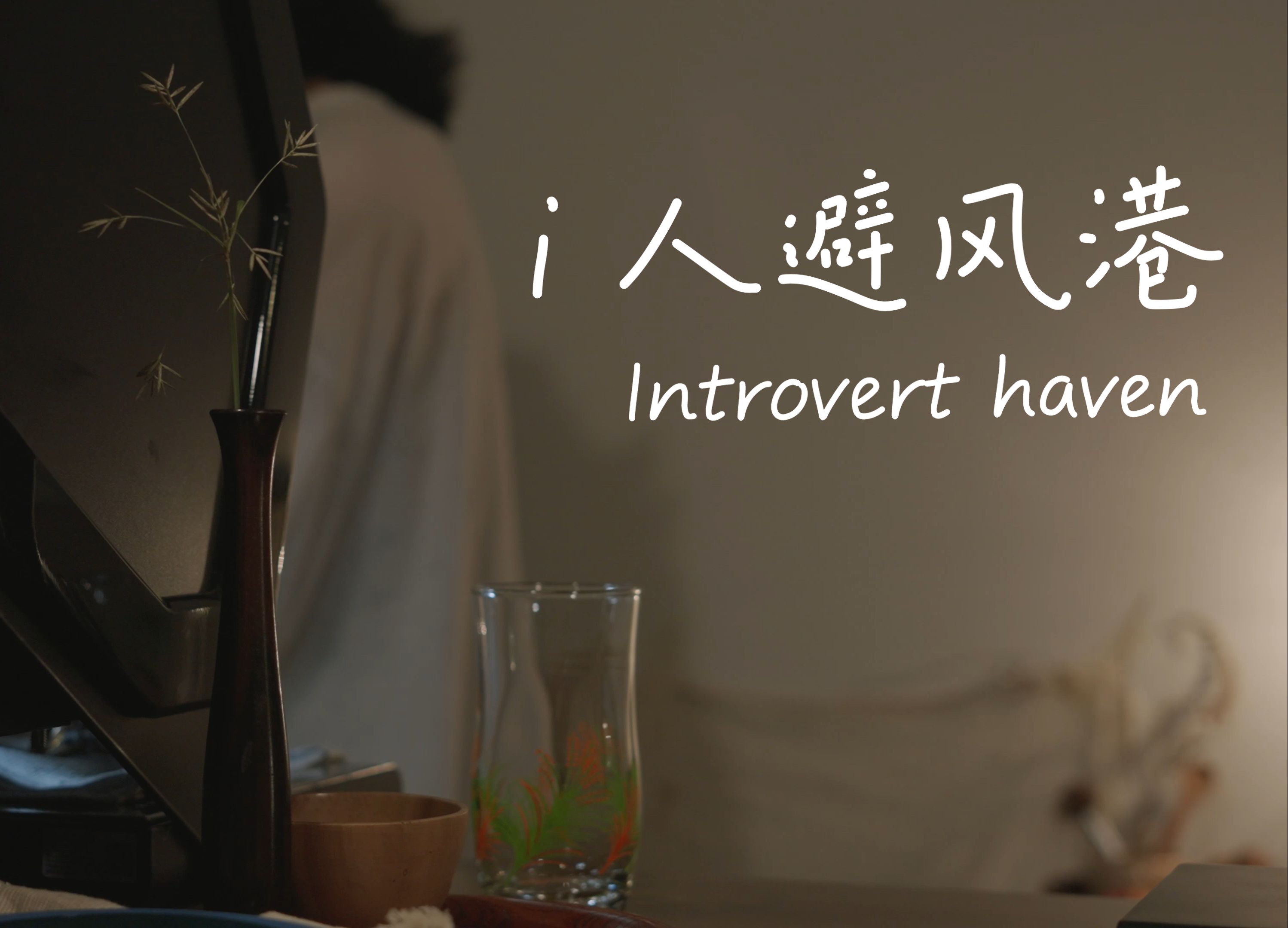 避世咖啡店, 雨后宁静 l 宁波咖啡 l Introvert haven哔哩哔哩bilibili