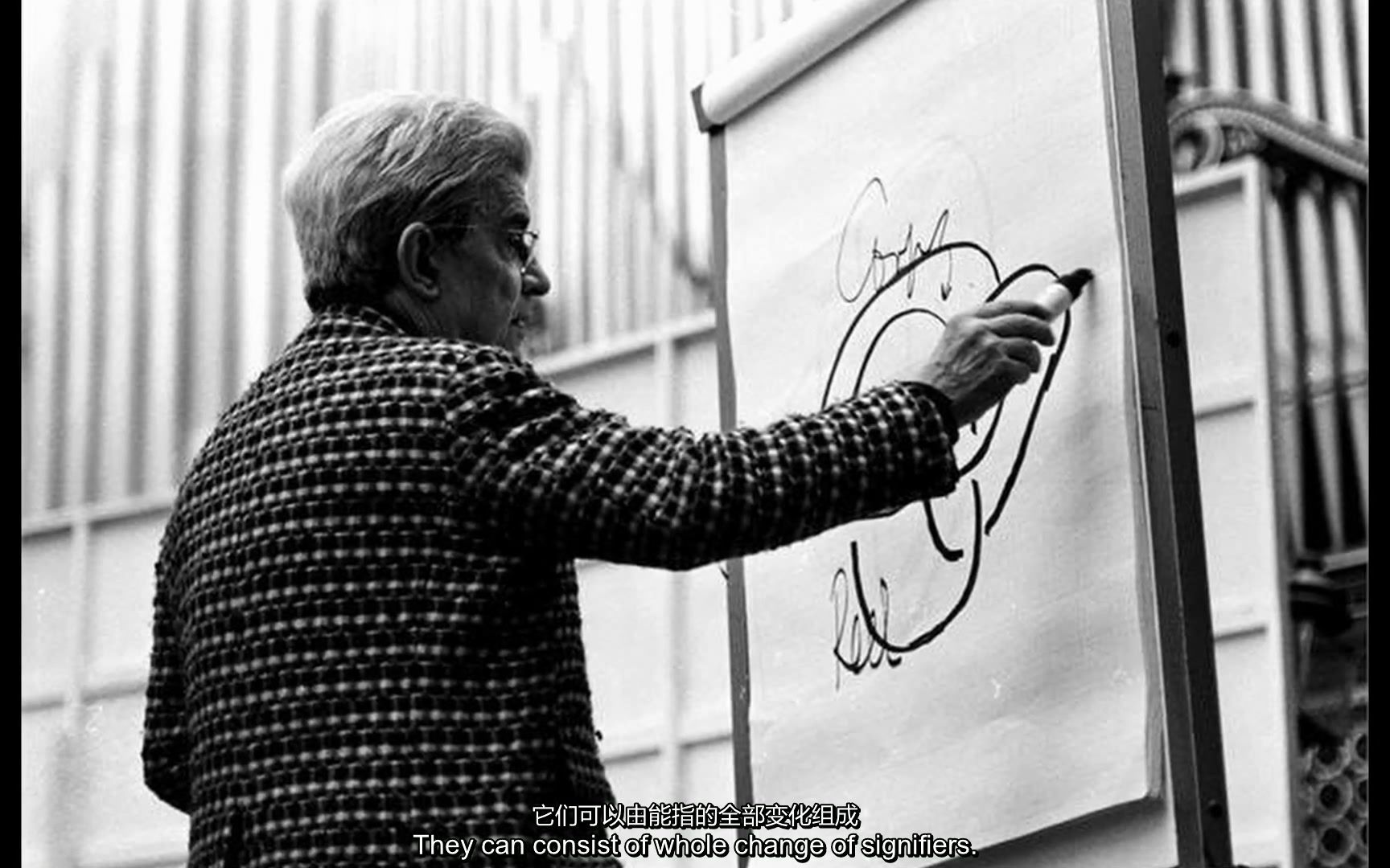 中英双语能指和所指拉康索绪尔齐泽克