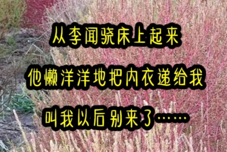 从李闻骁床上起来,他懒洋洋地把内衣递给我:“我把大门密码改了,以后没事别来.我一愣,下意识问“为什么”他勾唇笑道“她昨天答应当我女朋友了....