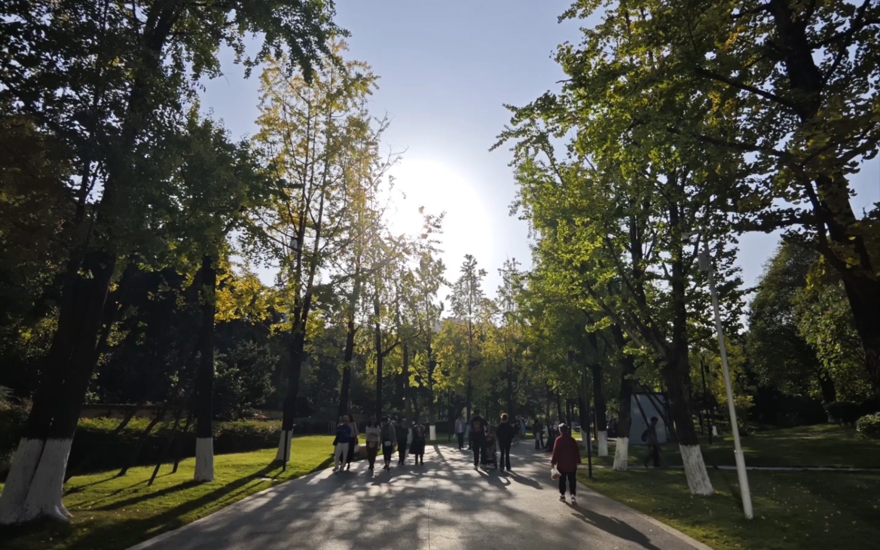 去成华公园游玩.一些图片