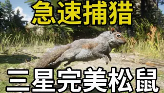 【荒野大镖客2】无限完美皮！教你3分钟急速捕猎三星松鼠