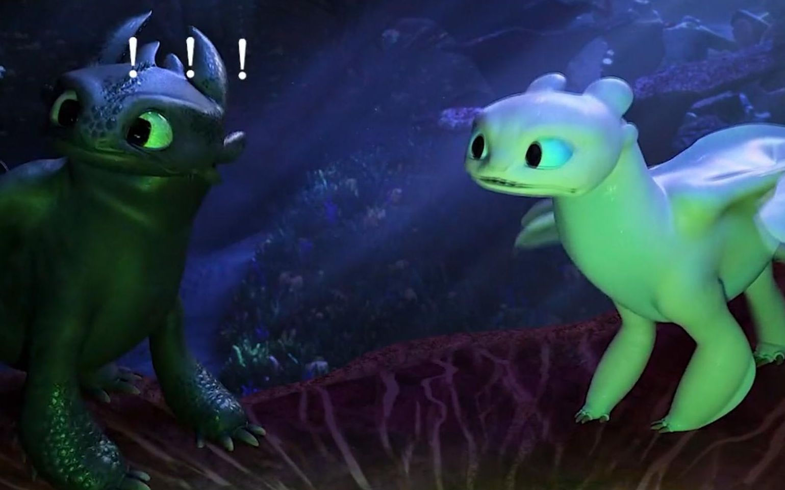 无牙仔的心到底有多大?睡个觉差点把孩子给弄丢!