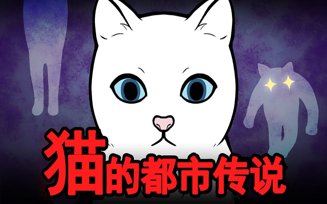 活动作品都市传说猫咪为什么那么灵