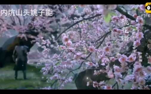 邓紫琪桃花诺哔哩哔哩bilibili