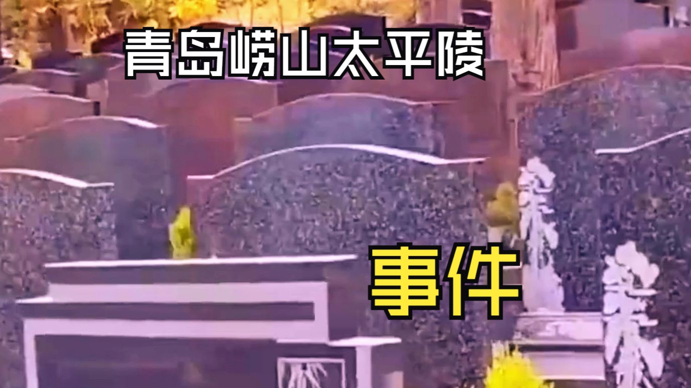 青岛崂山太平陵事件,当利益至上,把景区和林区变成墓地的时候,墓地也