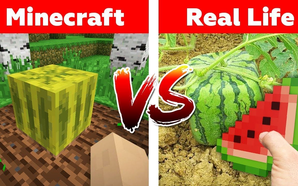 [图]【Minecraft】我的世界VS真实世界#7 - DanOMG