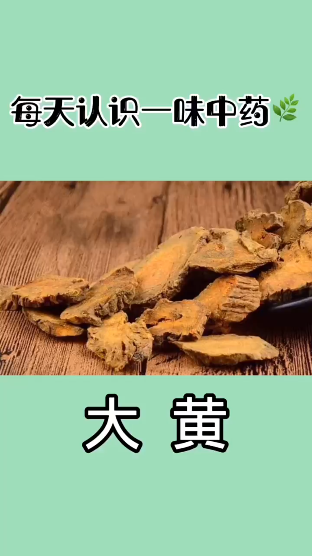 中药大黄能治疗哪些病症(中药大黄的功效与作用介绍)