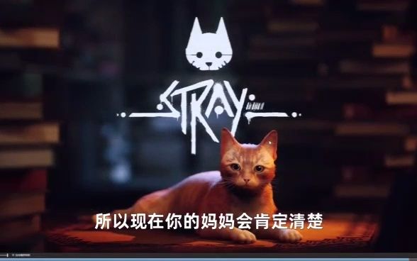 [图]《迷失stray》游戏介绍