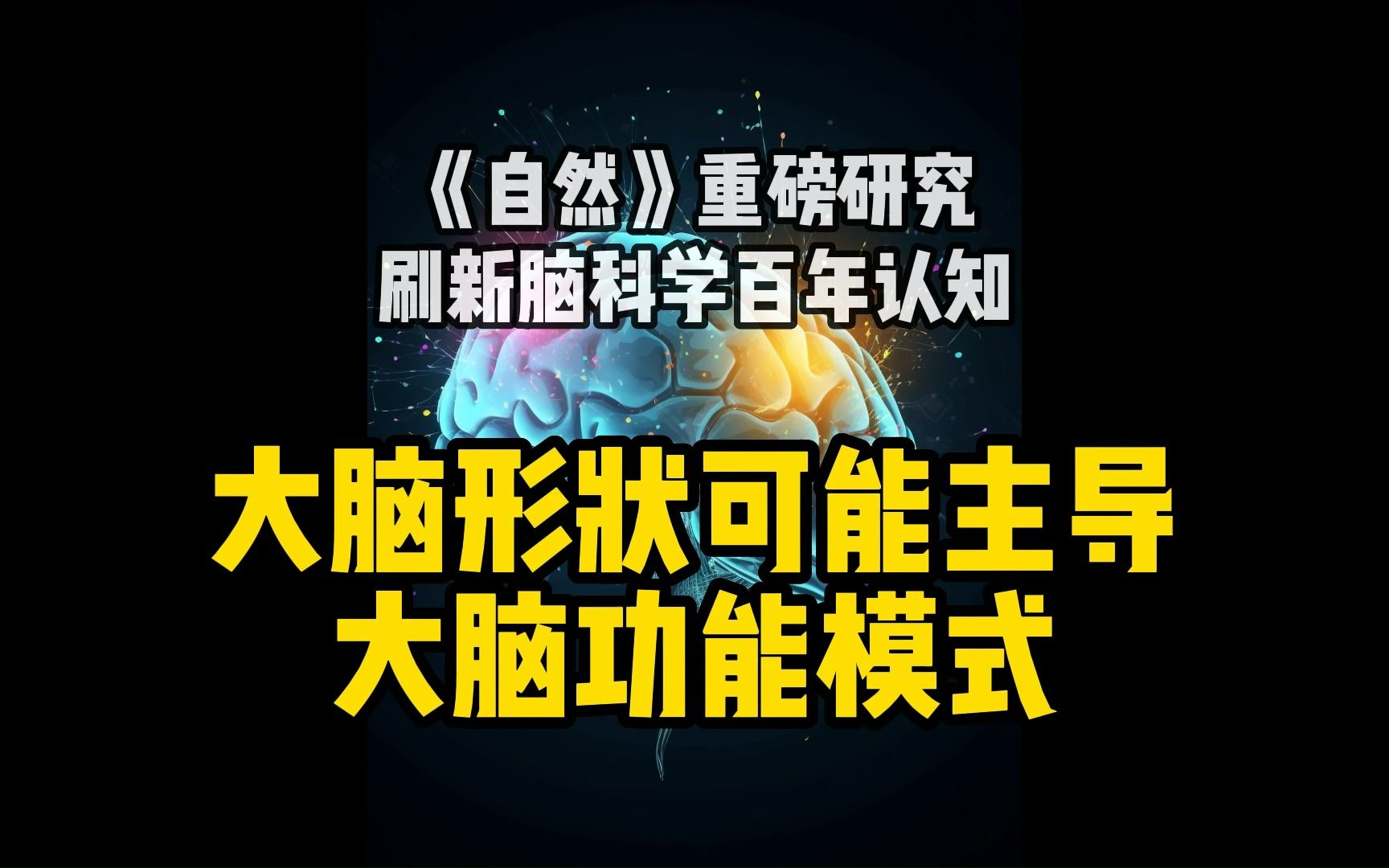 《自然》重磅研究刷新脑科学百年认知大脑形状可能主导大脑功能模式哔哩哔哩bilibili